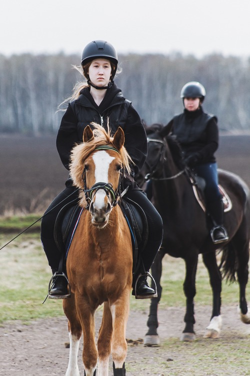 В рамках проекта «Подкованные» занятия по конному спорту организовали в Орловской области